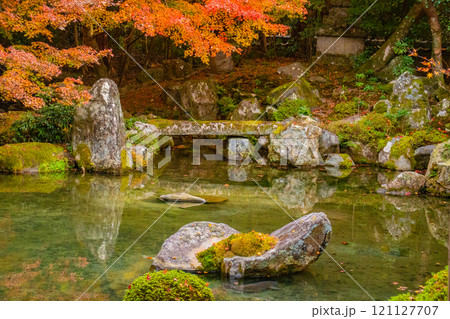 【京都風景】秋の池を彩る静けさの中の紅葉 121127707