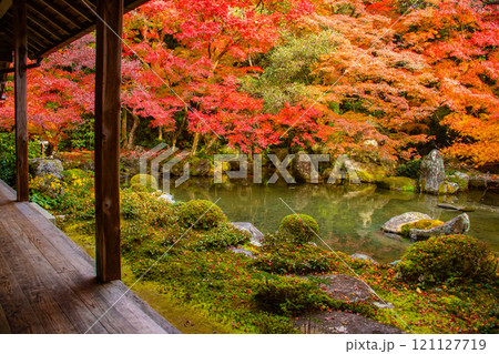 【京都風景】秋の池を彩る静けさの中の紅葉 121127719