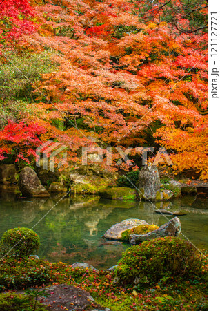【京都風景】秋の池を彩る静けさの中の紅葉 【京都風景】秋の池を彩る静けさの中の紅葉 121127721