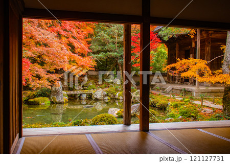 【京都風景】秋の池を彩る静けさの中の紅葉 121127731