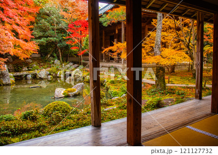 【京都風景】秋の池を彩る静けさの中の紅葉 【京都風景】秋の池を彩る静けさの中の紅葉 121127732