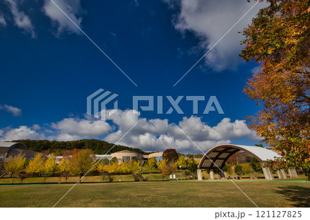 銀杏並木ーふくい健康の森 121127825