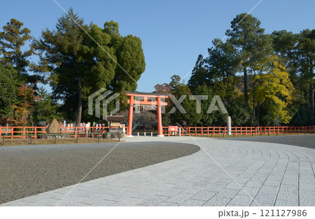 上賀茂神社 参道と一の鳥居 京都市北区 上賀茂神社 参道と一の鳥居 京都市北区 121127986