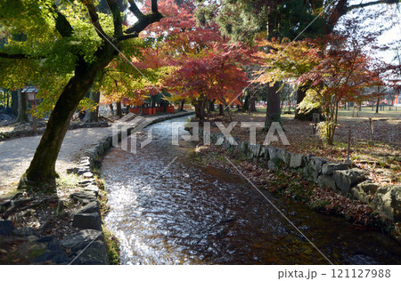 上賀茂神社　ならの小川の紅葉　京都市北区 121127988