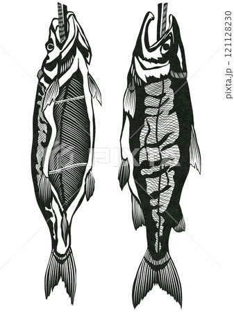 贈答品にいかがでしょうか今年もよく出来た新巻シャケの逸品切り絵イラスト 贈答品にいかがでしょうか今年もよく出来た新巻シャケの逸品切り絵イラスト 121128230