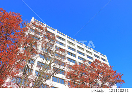 三重県四日市市、四日市市役所の風景 121128251