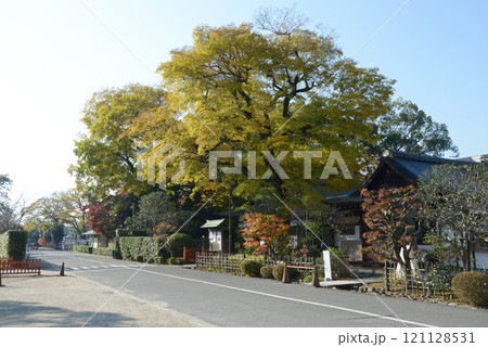上賀茂神社 参集殿 京都市北区 上賀茂神社 参集殿 京都市北区 121128531