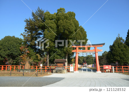 上賀茂神社　一の鳥居　京都市北区 121128532