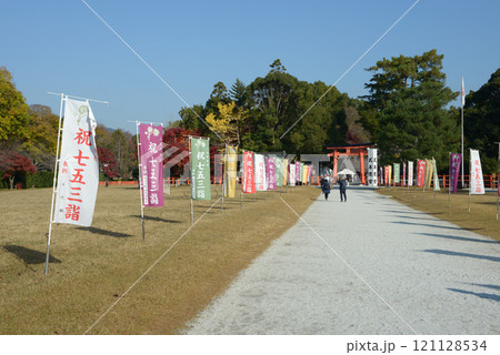 上賀茂神社　参道　京都市北区 121128534