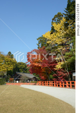 上賀茂神社　境内の紅葉　京都市北区 121128539