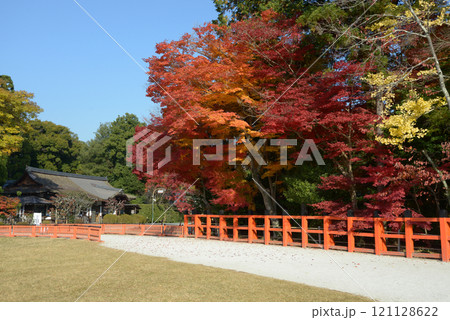 上賀茂神社 境内の紅葉 京都市北区 上賀茂神社 境内の紅葉 京都市北区 121128622