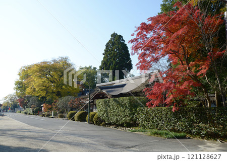 上賀茂神社　参集殿と社務所　京都市北区 121128627