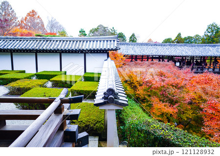 庭園と紅葉 庭園と紅葉 121128932