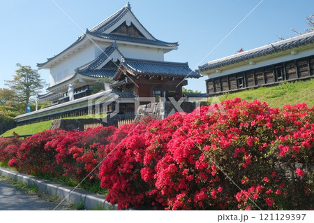 春の花咲く勝竜寺城公園 春の花咲く勝竜寺城公園 121129397