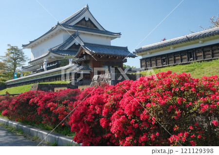 春の花咲く勝竜寺城公園 121129398