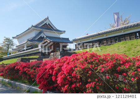 春の花咲く勝竜寺城公園 春の花咲く勝竜寺城公園 121129401