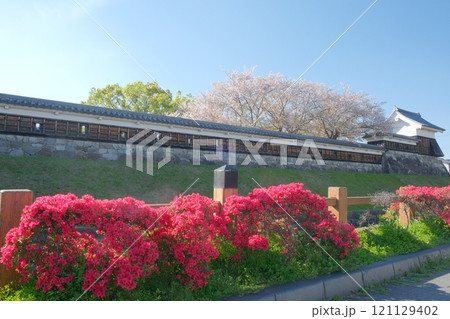 春の花咲く勝竜寺城公園 121129402