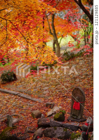 京都・正法寺・深まる秋2 121129885