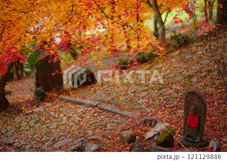 京都・正法寺・深まる秋3 京都・正法寺・深まる秋3 121129886