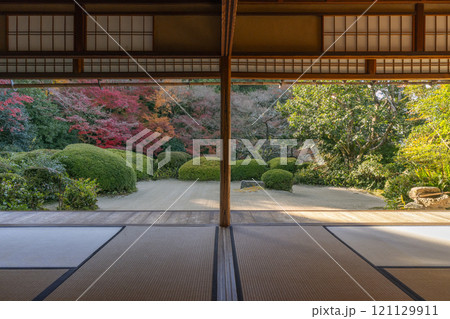秋の京都　詩仙堂　書院から見る紅葉の庭園 121129911