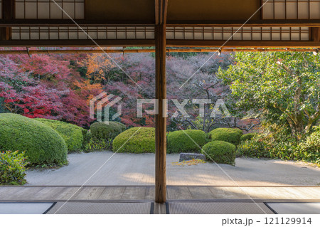 秋の京都　詩仙堂　書院から見る紅葉の庭園 121129914