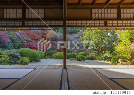 秋の京都 詩仙堂 書院から見る紅葉の庭園 秋の京都 詩仙堂 書院から見る紅葉の庭園 121129916