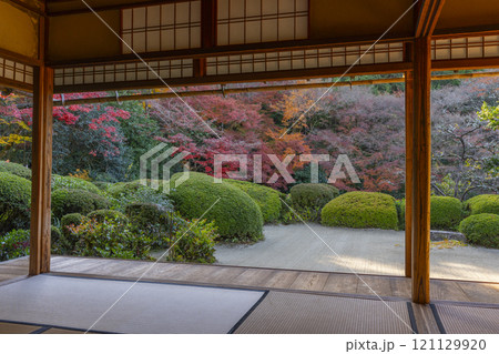 秋の京都 詩仙堂 書院から見る紅葉の庭園 秋の京都 詩仙堂 書院から見る紅葉の庭園 121129920
