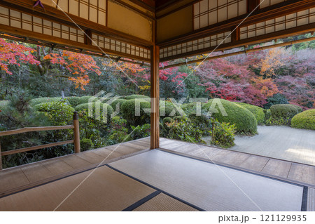 秋の京都 詩仙堂 書院から見る紅葉の庭園 秋の京都 詩仙堂 書院から見る紅葉の庭園 121129935