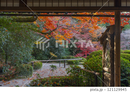 秋の京都　詩仙堂　詩仙の間から見る紅葉の庭園 121129945