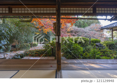 秋の京都　詩仙堂　詩仙の間から見る紅葉の庭園 121129948