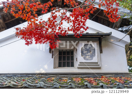 秋の京都　詩仙堂　紅葉と白い壁と瓦屋根 121129949