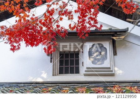 秋の京都　詩仙堂　紅葉と白い壁と瓦屋根 121129950