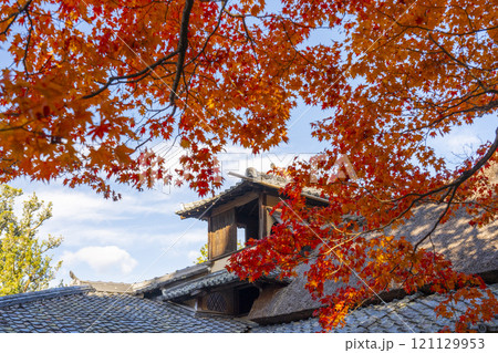 秋の京都　詩仙堂　紅葉に包まれた嘯月楼 121129953