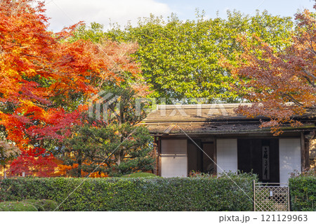 秋の京都　詩仙堂　紅葉に包まれた残月軒 121129963