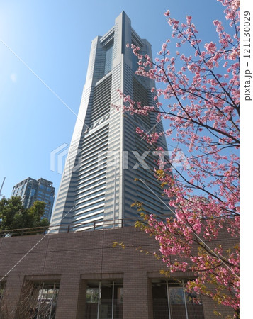 桜 ランドマークタワー 桜 ランドマークタワー 121130029