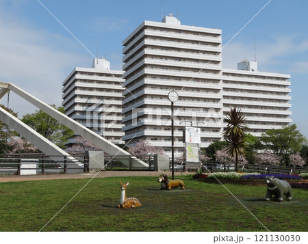 桜 公園 121130030