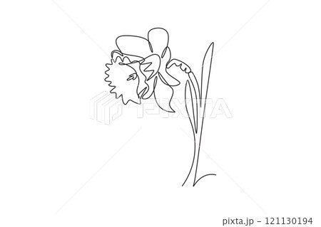 Single one line drawing beauty fresh narcissus for garden logo icon. Printable decorative daffodil flower concept for wedding invitation card. Continuous line draw design graphic vector illustration Single one line drawing beauty fresh narcissus for garden logo icon. Printable decorative daffodil flower concept for wedding invitation card. Continuous line draw design graphic vector illustration 121130194