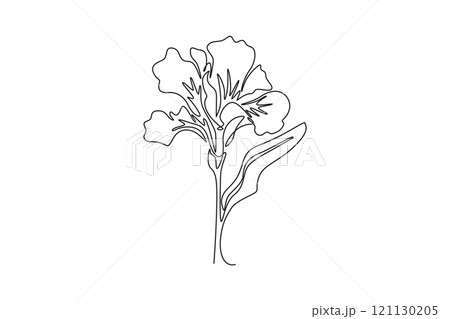 Single continuous line drawing beauty fresh canna for garden logo. Printable poster decorative canna lily flower concept for wedding invitation card. One line draw graphic design vector illustration 121130205