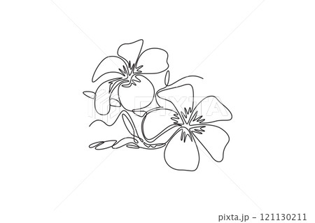 Single continuous line drawing beauty fresh plumeria for wall home decor art print poster. Printable decorative frangipani flower for green park icon. One line draw graphic design vector illustration 121130211