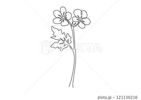 Single one line drawing beauty fresh geranium for wall decor home print art poster. Printable decorative cranesbills flower for card ornament. Continuous line draw design graphic vector illustration 121130216