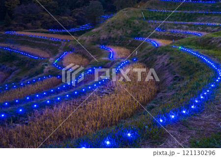 (千葉県)大山千枚田ライトアップ 棚田のあかり (千葉県)大山千枚田ライトアップ 棚田のあかり 121130296