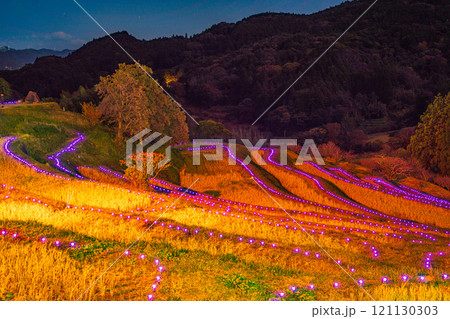 (千葉県)大山千枚田ライトアップ 棚田のあかり (千葉県)大山千枚田ライトアップ 棚田のあかり 121130303