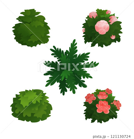 Isometric floral bushes 121130724