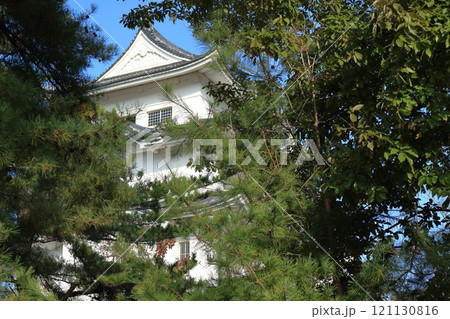 伊賀上野城の天守 伊賀上野城の天守 121130816