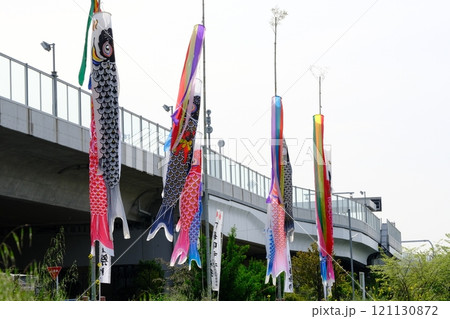 小泉川沿いの鯉のぼりと京都縦貫道 小泉川沿いの鯉のぼりと京都縦貫道 121130872