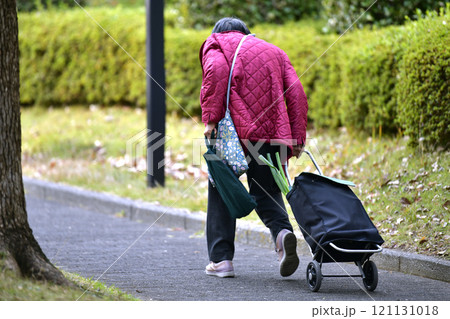 日本の横浜都市景観　高齢化社会…ネギ…人生とは…＝横浜市内 121131018