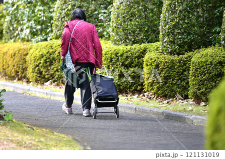 日本の横浜都市景観　高齢化社会…ネギ…人生とは…＝横浜市内 121131019