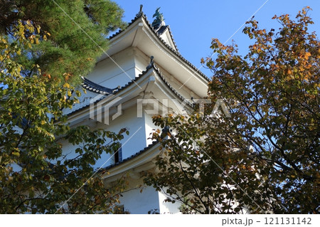 伊賀上野城の天守 121131142