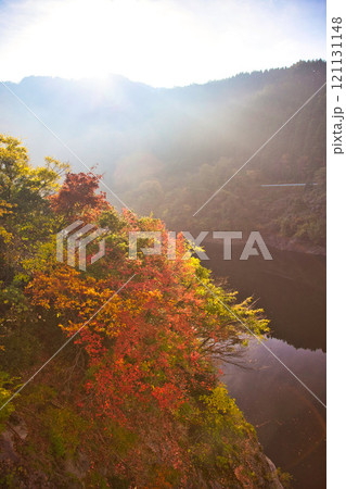 紅葉に包まれた龍ヶ鼻ダム 121131148