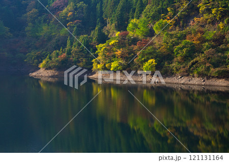 紅葉に包まれた龍ヶ鼻ダム 紅葉に包まれた龍ヶ鼻ダム 121131164